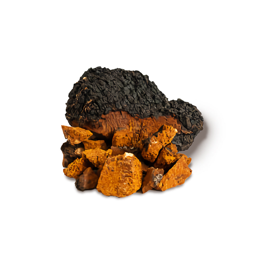 Dried wild chaga chunks PureAM OU