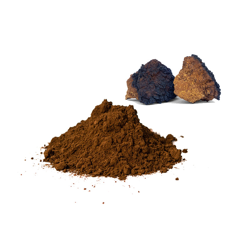 Chaga extract powder PureAM OU