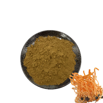 Cordyceps extract powder PureAM OU