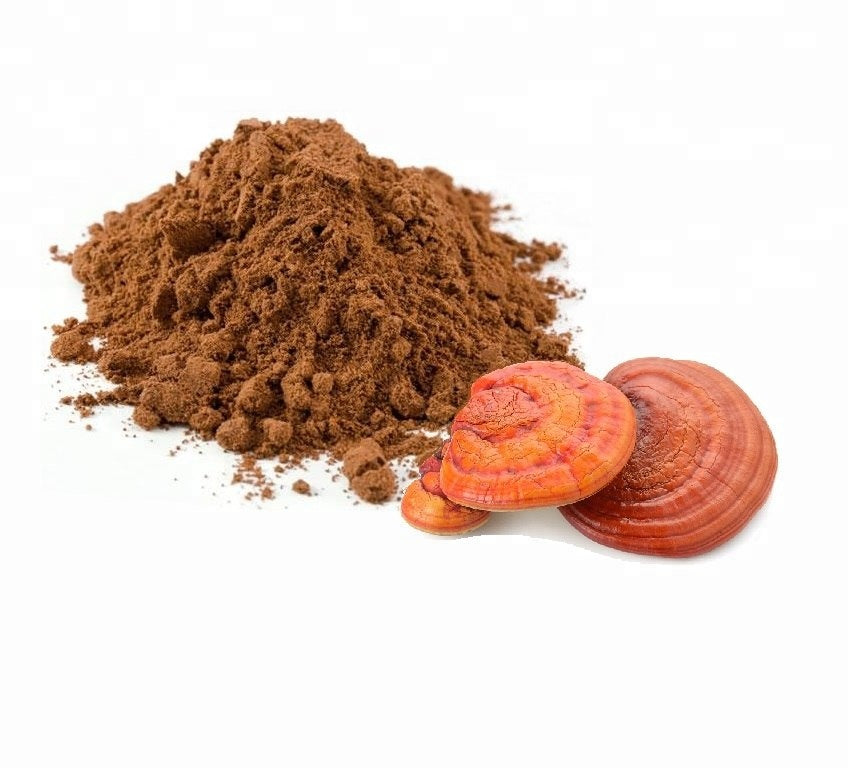 Reishi extract powder PureAM OU
